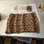 20241019_134337 - alpaca challenge