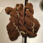 20241019_134410- alpaca challenge